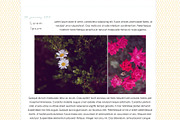 Honeycomb PSDs, a Pattern Graphic by michLg designs (Thumbnail 2 of 4)