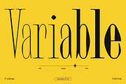 TT Espina, a Serif Font by TypeType (Thumbnail 10 of 15)