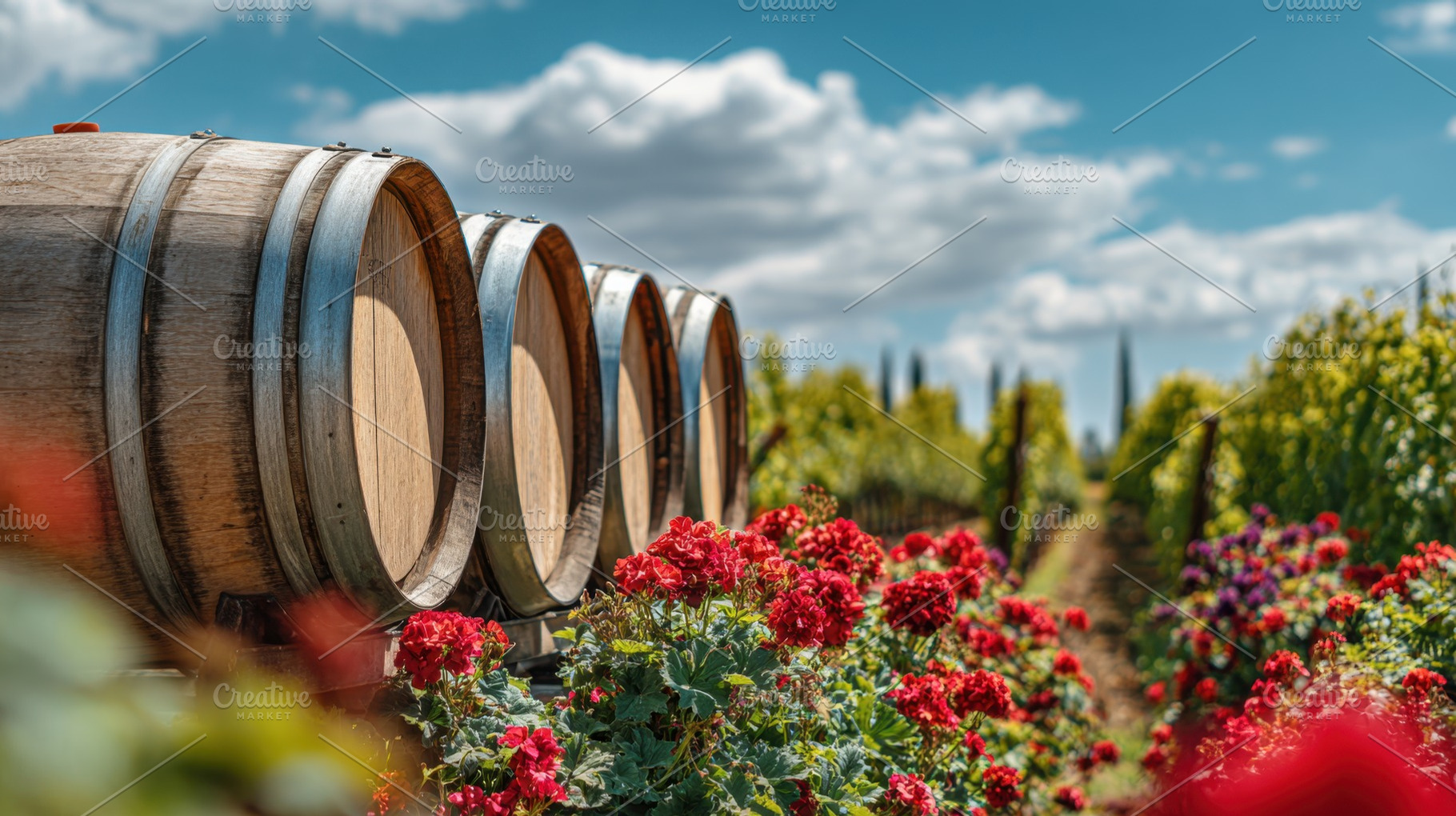 Barrels and flowers in a vineyard, a Photo by Beautiful things