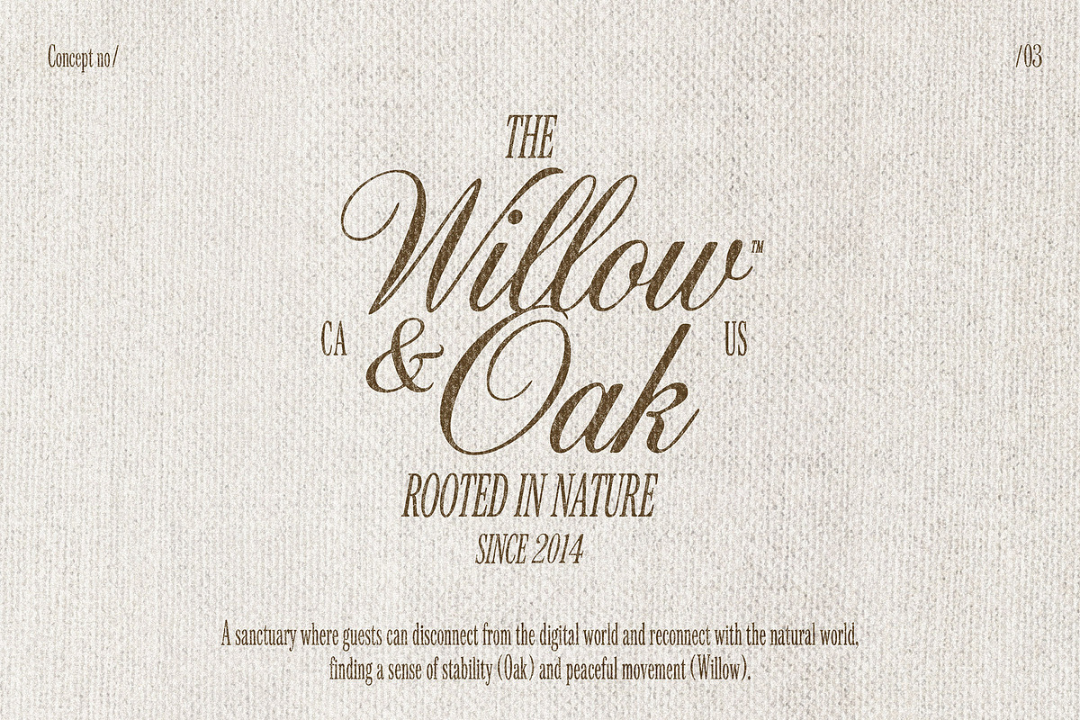 Old Money - Luxury Branding Fonts, a Font by AndrewPixelType (Photo 7 of 10)