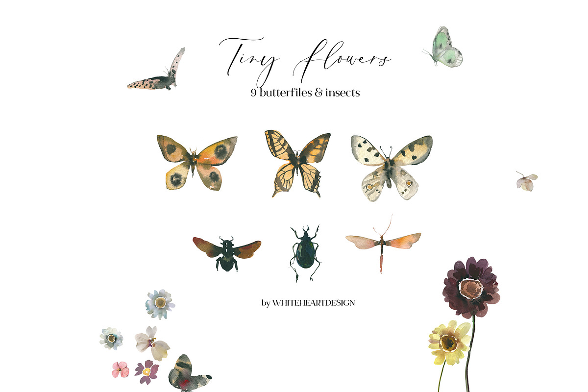 Tiny Flowers Pressed Floral Clipart, an Illustration by whiteheartdesign (Photo 7 of 17)