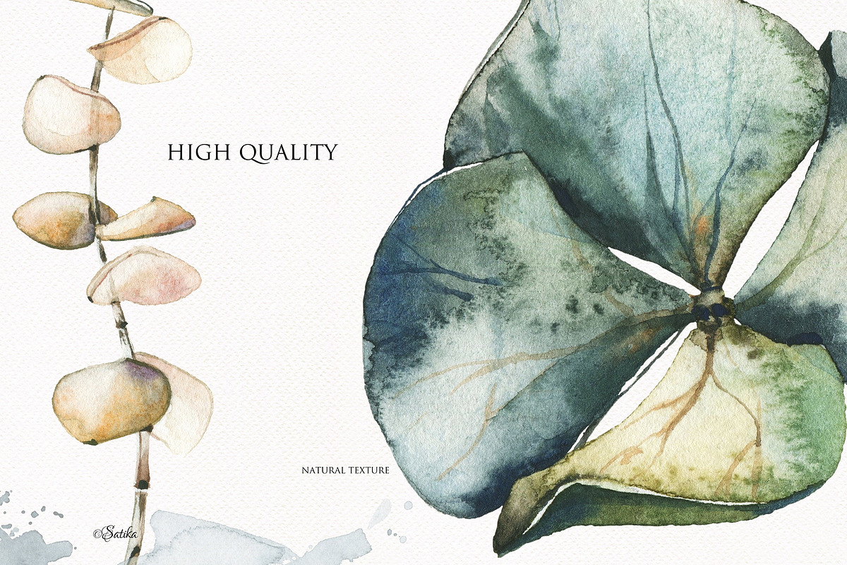 Dreamy Nature -watercolor collection, a Decorative Illustration by Khrys.art (Photo 3 of 16)