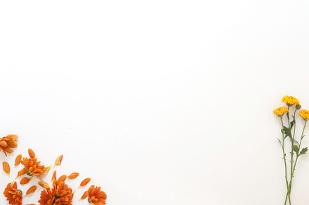 Autumn Fall Flowers Flat Lay Photo