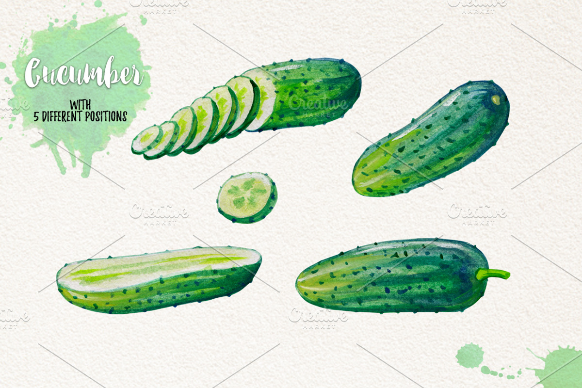 Watercolor Vegetables, Herbs, an Animal Illustration by Graphobia (Photo 3 of 12)