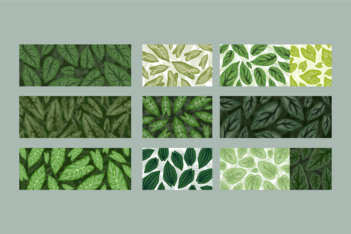 Leaves Background design set bundle, a Decorative Illustration by foxndeer (Photo 4 of 4)