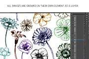 Flowers & foliage - illustrations, a Decorative Illustration by Renée from Studio neetje (Thumbnail 3 of 4)