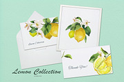 Lemon Collection, a Food Illustration by oKOLOstyle (Thumbnail 3 of 8)