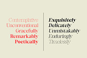 Cerena, a Serif Font by Nurul_kamal (Thumbnail 11 of 12)