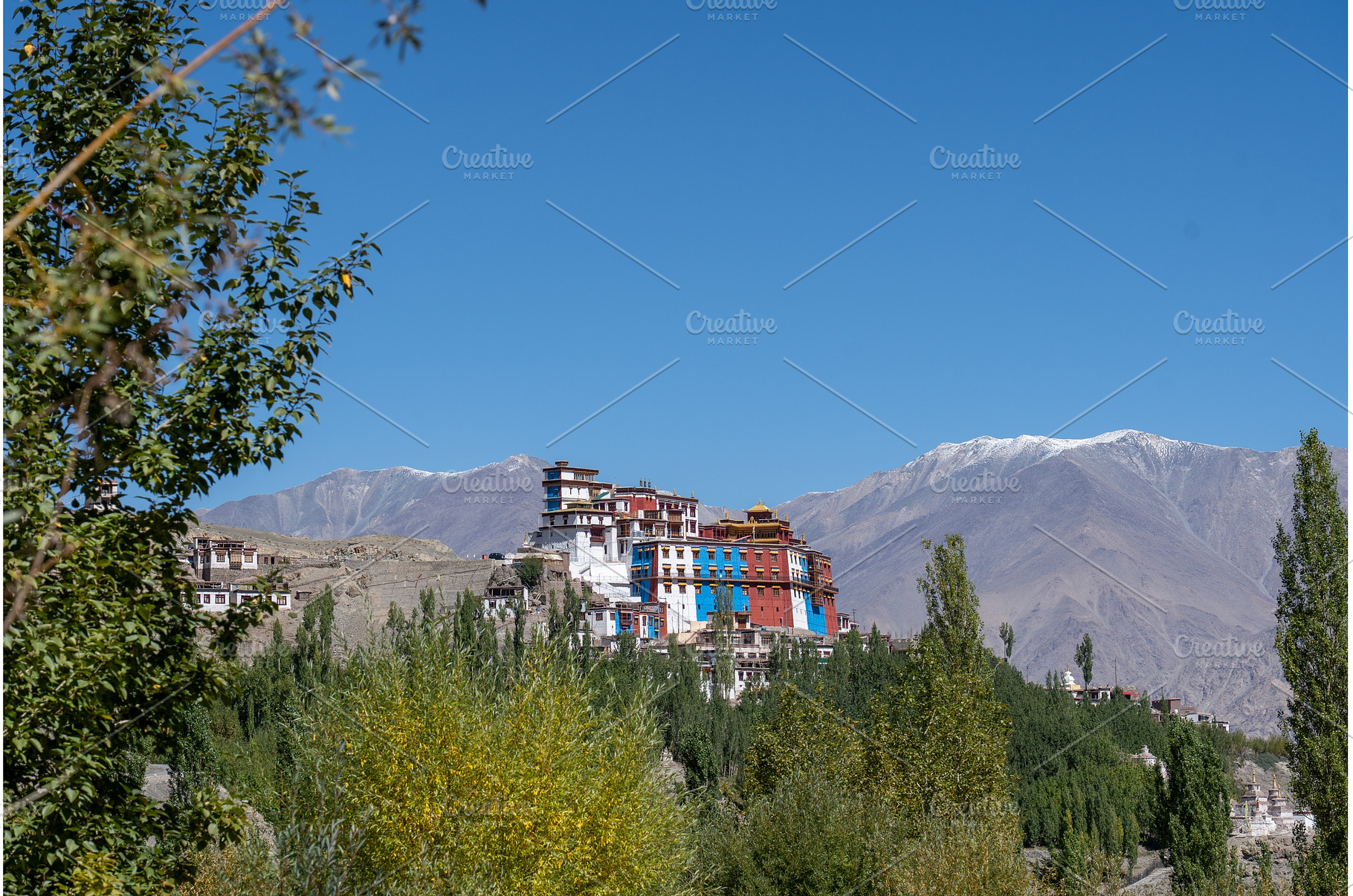 Matho Monastery in Ladakh, India, an Architecture Photo by oliverfoerstner