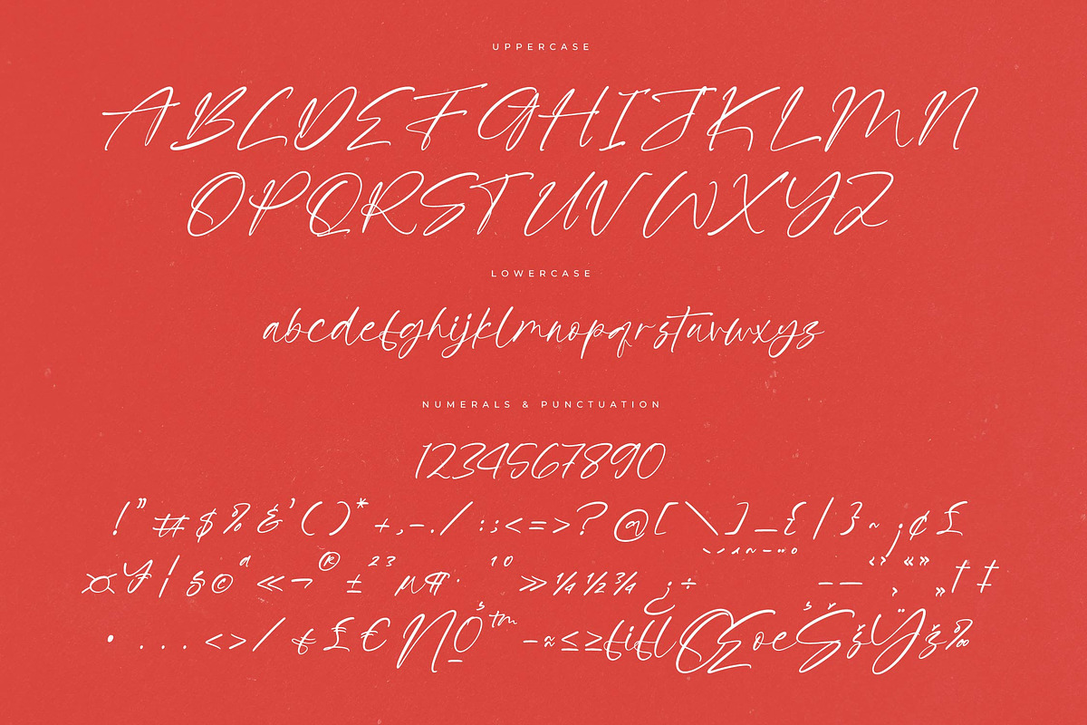 Petalik Glisten Modern Script Font, a Script Font by Letterena Studios Script (Photo 13 of 15)