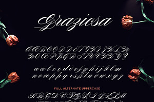 Graziosa Script Font