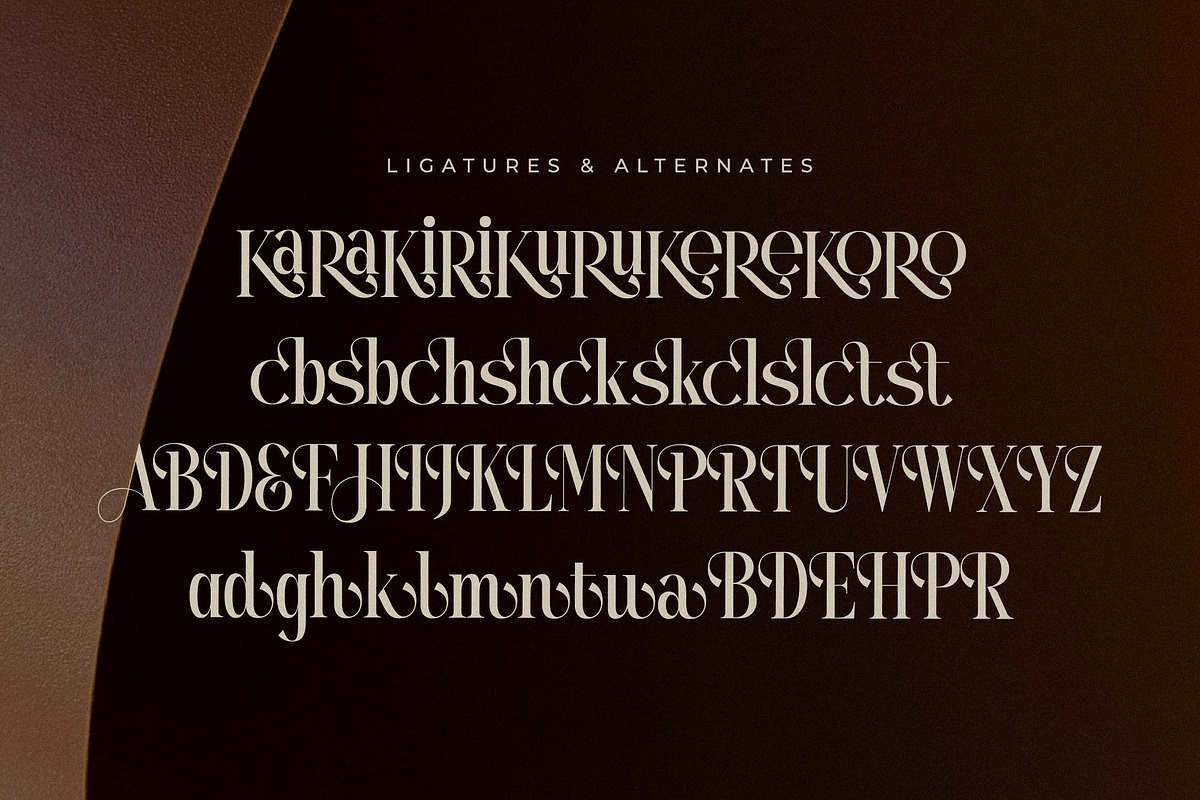 Mystequ New Modern Display, a Serif Font by Storytype Studio (Photo 13 of 15)