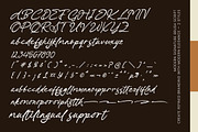 Prestige Snowfall, a Script Font by operatype.co (Thumbnail 8 of 8)