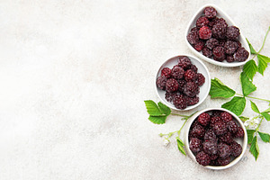 Frozen blackberries in white bowls with green leaves, a Food & Drink Photo by Olena Rudo