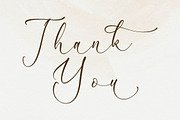 Peach Mondela Beauty Calligraphy, a Script Font by Storytype Studio (Thumbnail 15 of 15)