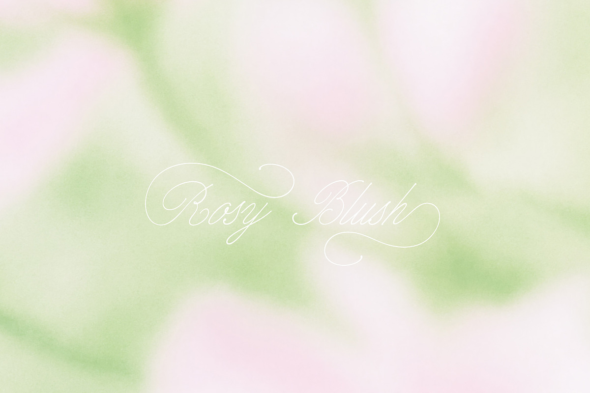 Rosy Blush - Floral Backgrounds, a Texture Graphic by lerinartstudio (Photo 3 of 14)