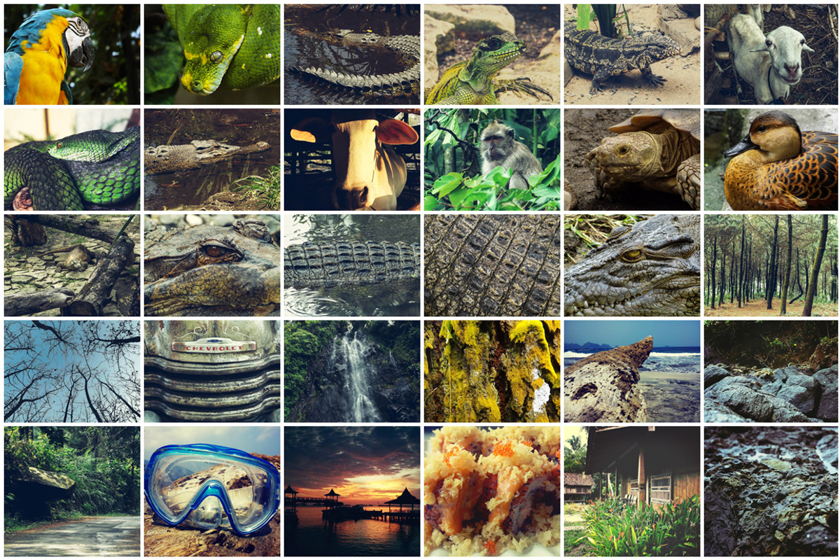 150 Photos + Bonus, a Templates & Theme by alyaphotoworks (Photo 2 of 5)