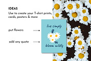 Daisy Ditsy Floral Pattern Bundle, a Pattern Graphic by AvaAva (Thumbnail 17 of 19)
