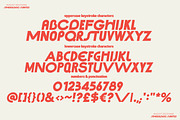 AUGUST DecoSans Multi-weight Family, a Sans Serif Font by Nicky Laatz (Thumbnail 29 of 30)
