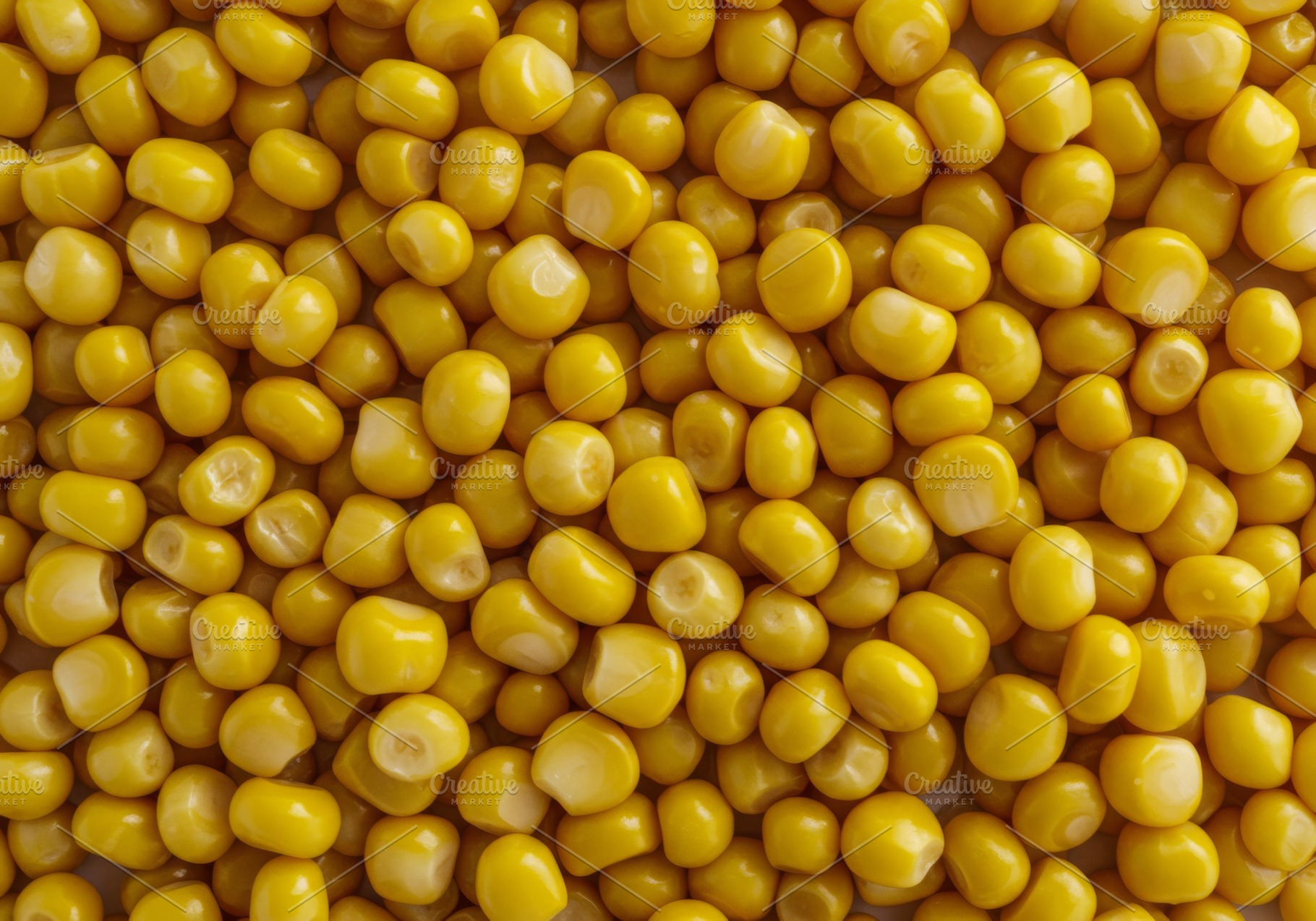 Glossy yellow corn kernels, a Food & Drink Photo by professorinc