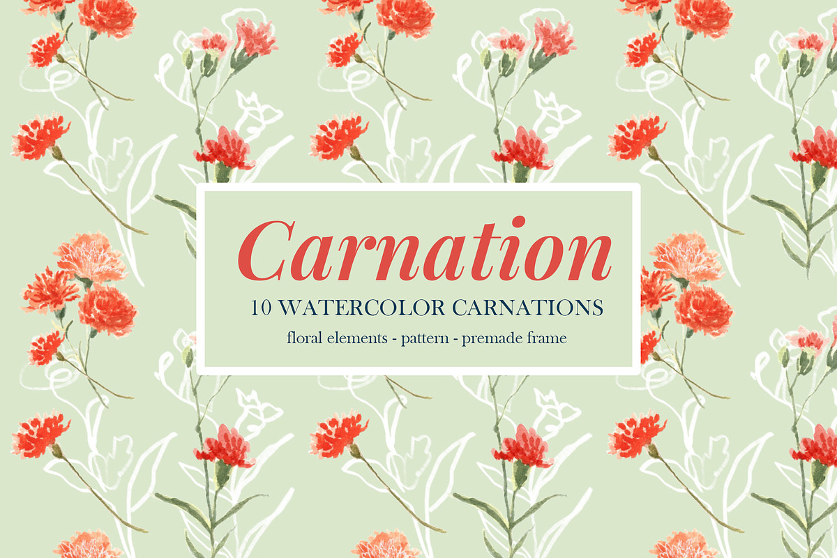 Watercolor Carnation, an Illustration by clairedelune (Photo 2 of 2)