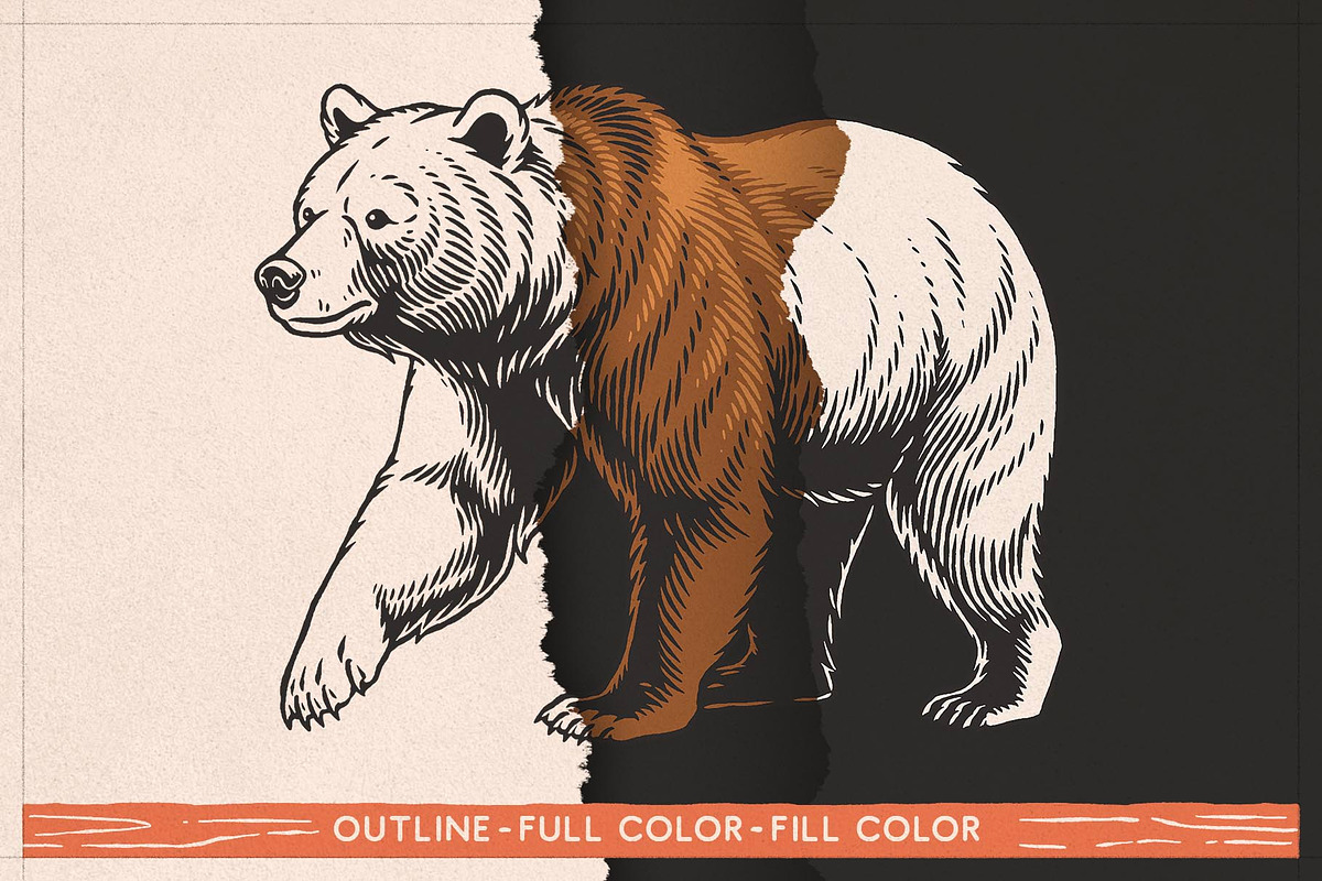 Bear Illustrations Hand-Drawn Vector, an Animal Illustration by Trape Graphic Studio (Photo 2 of 10)