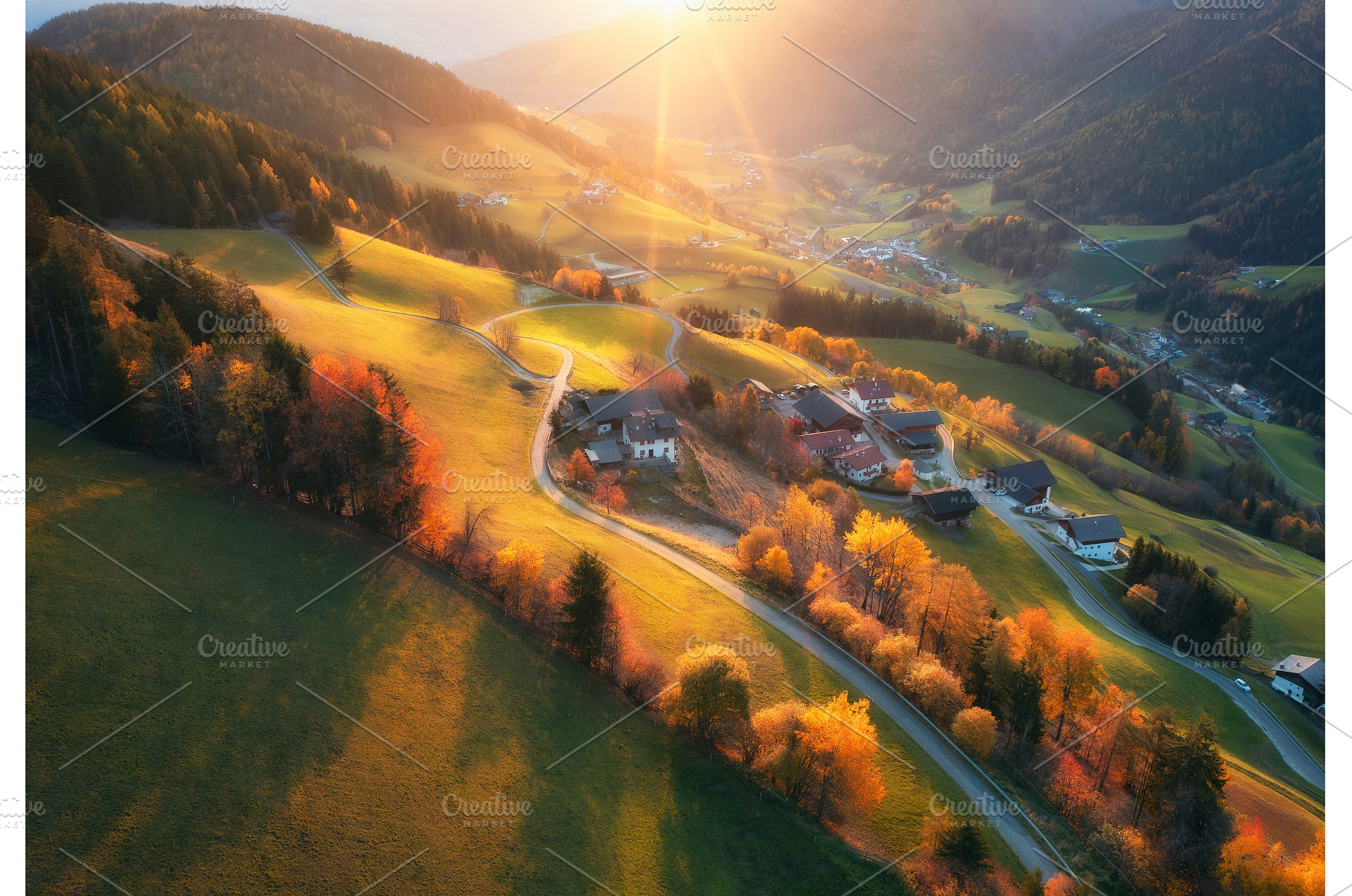 Aerial view of amazing green alpine, a Nature Photo by den-belitsky