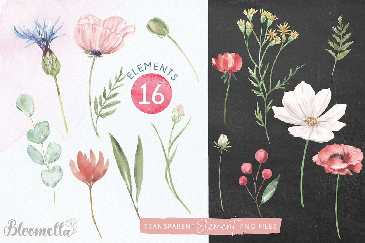 Wildflower Florals Poppies Flowers, an Object Graphic by Bloomella (Photo 6 of 7)