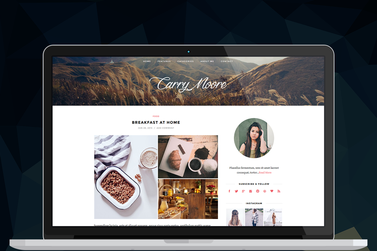 La Pura - WordPress Blog Theme, a WordPress Template by ThemeNeo (Photo 1 of 5)