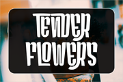 DEMANDING CREATURES - CONDENSED FONT, a Sans Serif Font by 177Studio (Thumbnail 2 of 5)