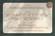 Cherly Blossom Modern Chic Serif, a Serif Font by Creatype Studio (Thumbnail 9 of 9)