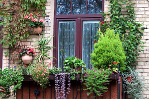 Old balcony with flowers, an Architecture Photo by BOOCYS