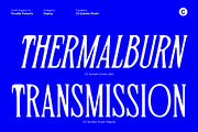 CS Quinate Drawn, a Serif Font by Craft Supply Co. (Thumbnail 3 of 8)