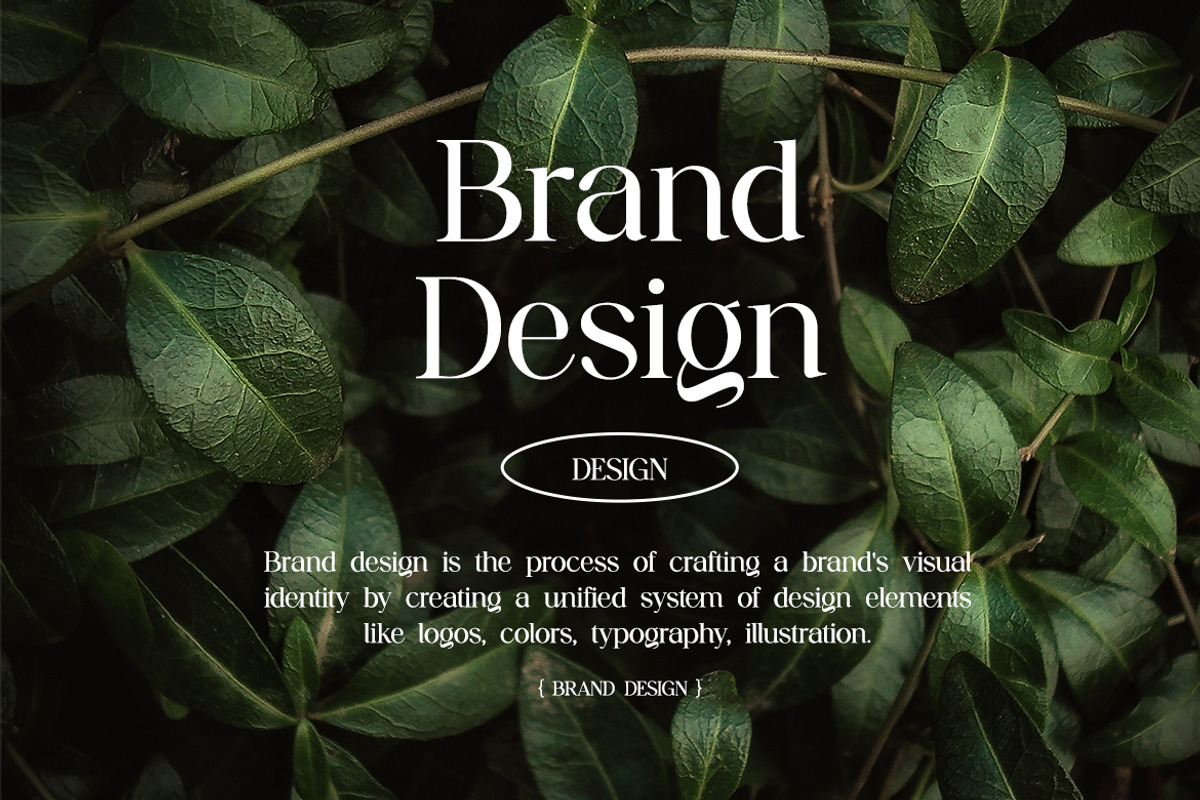 Butcherly Elegant Serif Font, a Serif Font by UICreative (Photo 4 of 13)