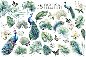 Tropical Floral And Peacocks