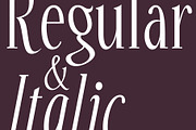 Stellar Swing - Mid Century Font, a Serif Font by HipFonts (Thumbnail 7 of 8)
