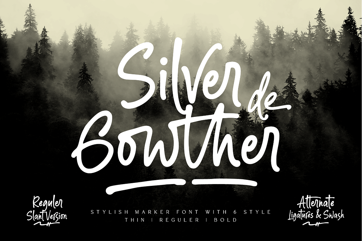 Silver Gowther Marker Font, a Script Font by Ainun Jinan (Photo 1 of 11)