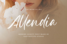 Allendia Modern Script Font