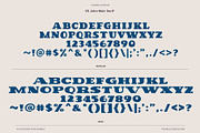 National Park Font Bundle, a Handwritten Font by Vicarel Studios (Thumbnail 28 of 31)