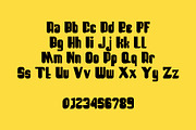 ROIKI - Sans Serif Display Font, a Sans Serif Font by Boril Std (Thumbnail 16 of 17)