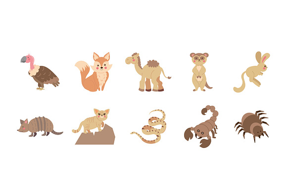 Desert Animals Illustration Set preview 2