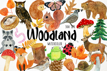 Watercolor Woodland Clipart, Forest, an Animal Illustration by Paulaparaula