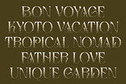 Aquene Halfpixel, a Serif Font by Craft Supply Co. (Thumbnail 4 of 8)