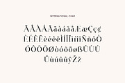 Ignacio Maverick Elegant Serif Font, a Serif Font by UICreative (Thumbnail 6 of 13)
