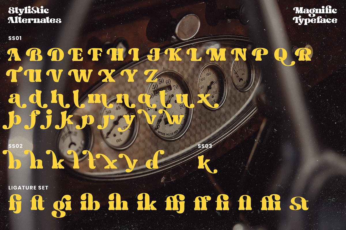 Magnific, a Script Font by Nathatype (Photo 9 of 10)