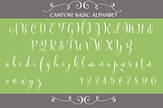 Cantoni Hand Lettered Font, a Script Font by Debi Sementelli (Thumbnail 2 of 2)