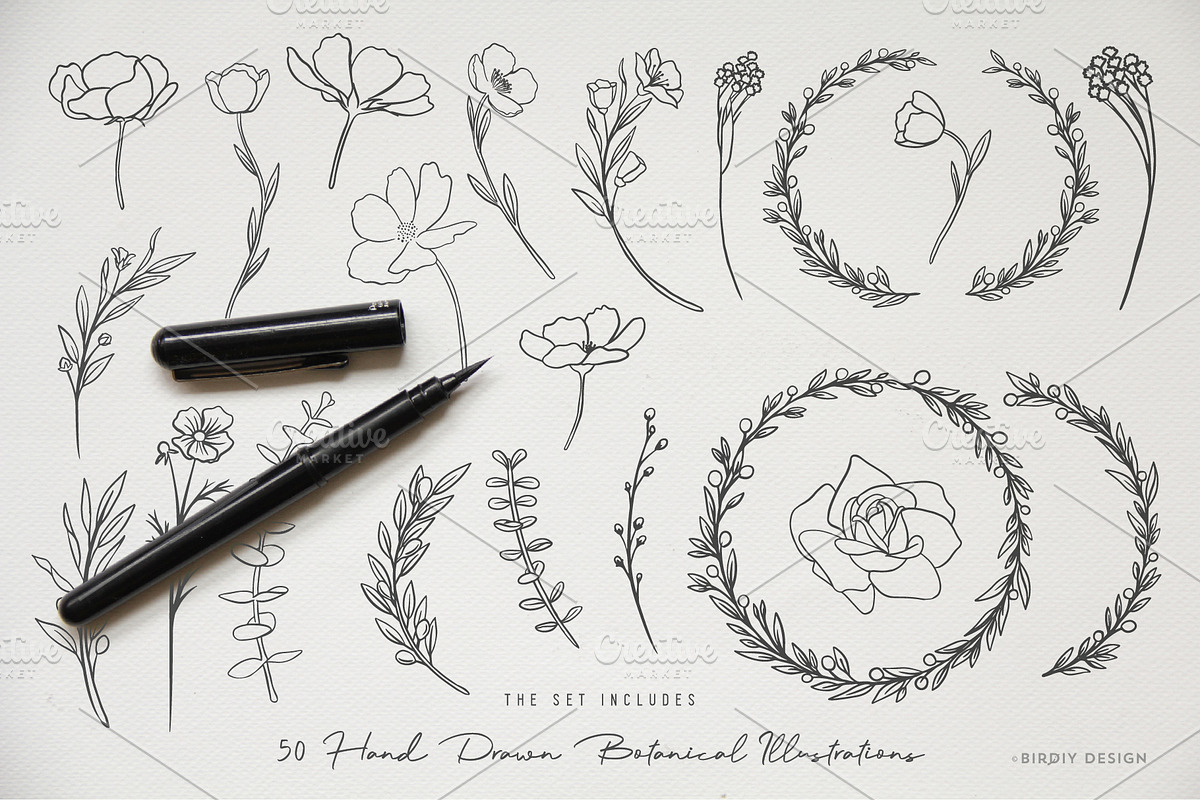 Botanical Illustrations & Logo Kit, an Illustration by BirDIY Design (Photo 3 of 10)