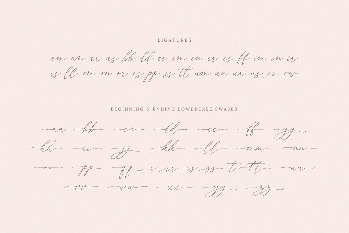 Central Garden Calligraphy Font, a Script Font by Seagulls Creative (Photo 10 of 10)