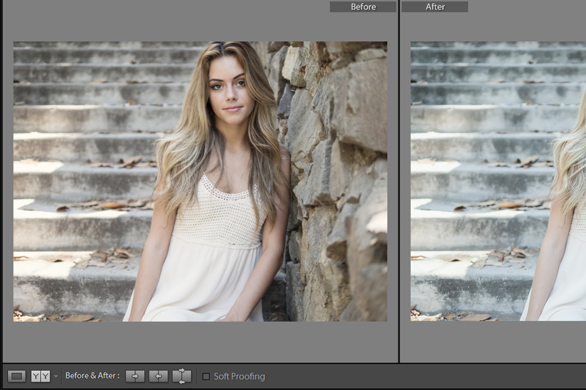 Cinematic Lightroom Preset By Cmsvec, a Plug-in Add-On by CMSvec (Photo 7 of 10)