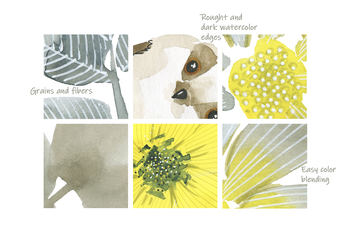 Birds in flowers, an Illustration by Novikova Lida (Photo 6 of 8)